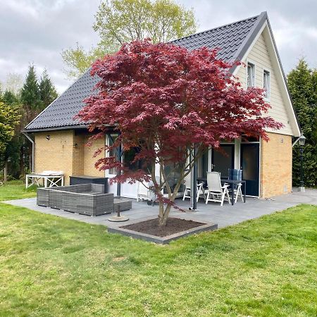 La Casa De Gasselte, Een Gezellig Ruim Huis In Drenthe Pal Naast Het Bos Exterior photo
