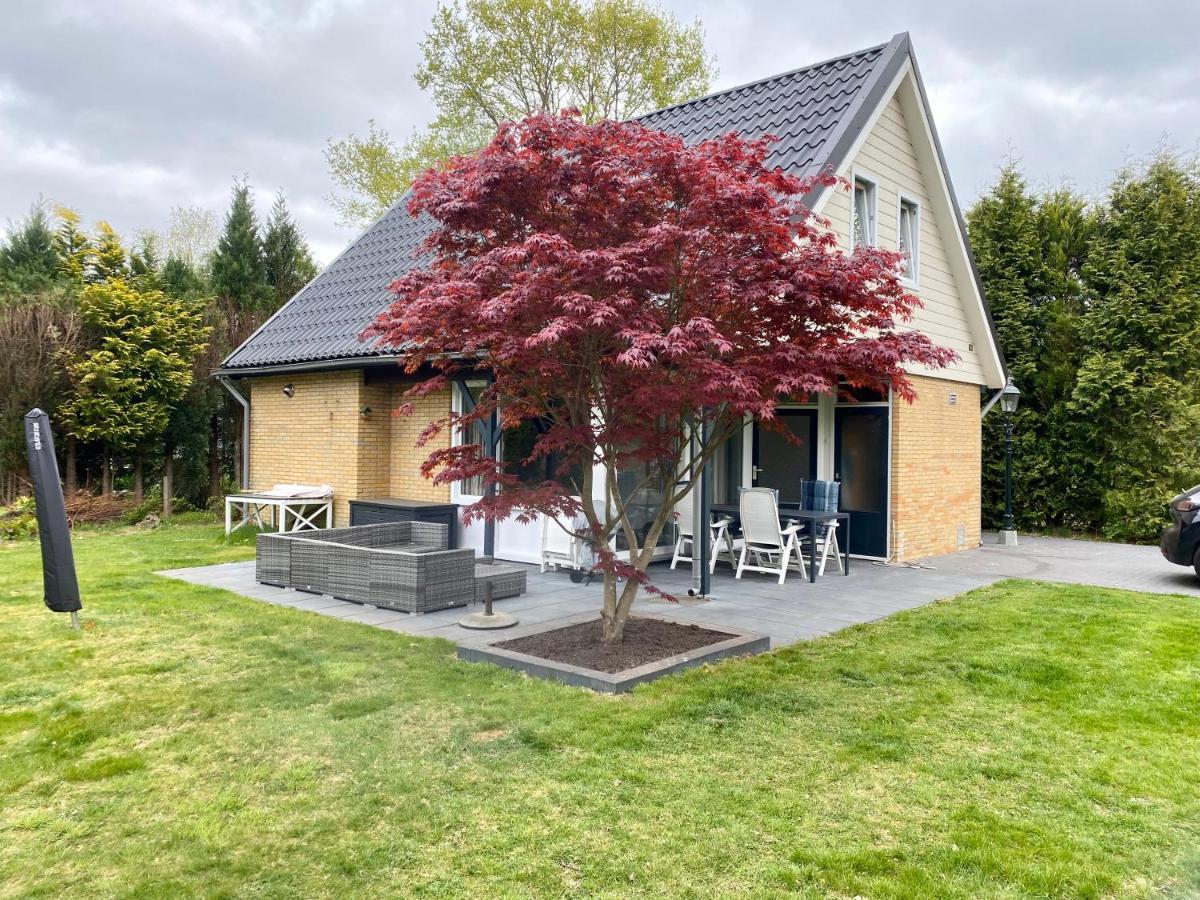 La Casa De Gasselte, Een Gezellig Ruim Huis In Drenthe Pal Naast Het Bos Exterior photo